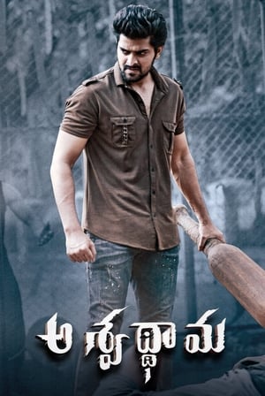 Aswathama 2020 (Hindi – Telugu) Dual Audio [960MB] Movie Poster