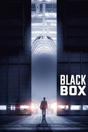 Boxed 2021 Hindi Movie [890MB] Movie Poster