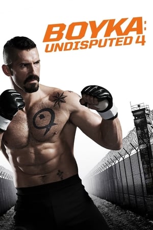Boy 2019 Hindi Movie - [350MB] Movie Poster