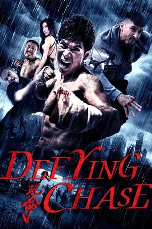 Defying Chase (2018) Hindi Dual Audio 350MB Movie Poster