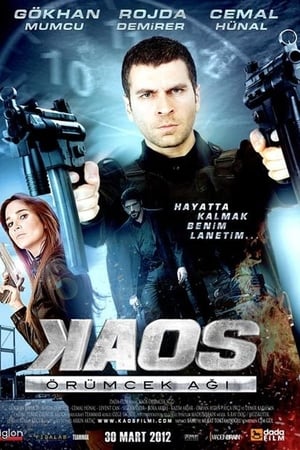Kaos: Örümcek Agi (2012) Hindi Dual Audio – Movie Poster