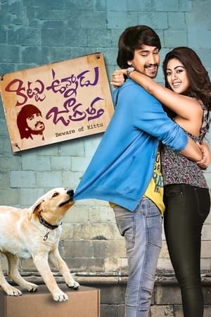 Kittu Unnadu Jagratha 2017 Hindi Dual Audio 400MB Movie Poster
