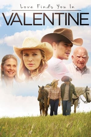 Love Finds You in Valentine (2016) Hindi Dual Audio 300MB Movie Poster