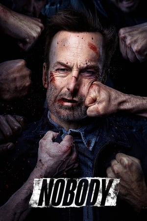 Nobody (2021) Hindi (Cleaned) Dual Audio [880MB] Movie Poster