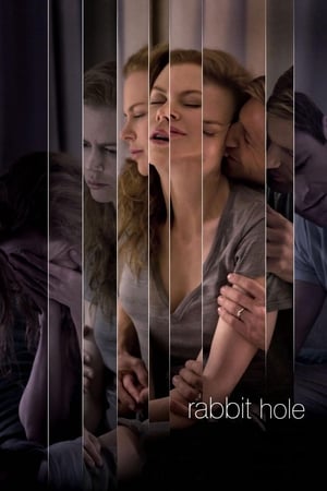 Rabbit Hole (2010) Hindi Dual Audio 300MB Movie Poster